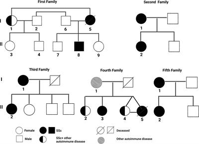 Human leukocyte antigen association in systemic sclerosis patients: our experience at a tertiary care center in North India